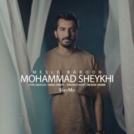 دانلود آهنگ مثل بارون محمد شیخی